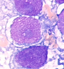 Hier geht es weiter!